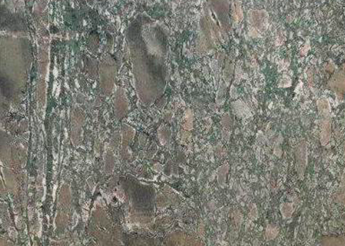 GREEN HOLLYWOOD